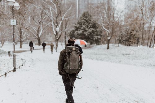 Free A person walks along a snowy park path, wearing a backpack, amidst gently falling snow. Stock Photo