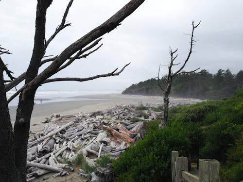 Pacific Coast Washington State