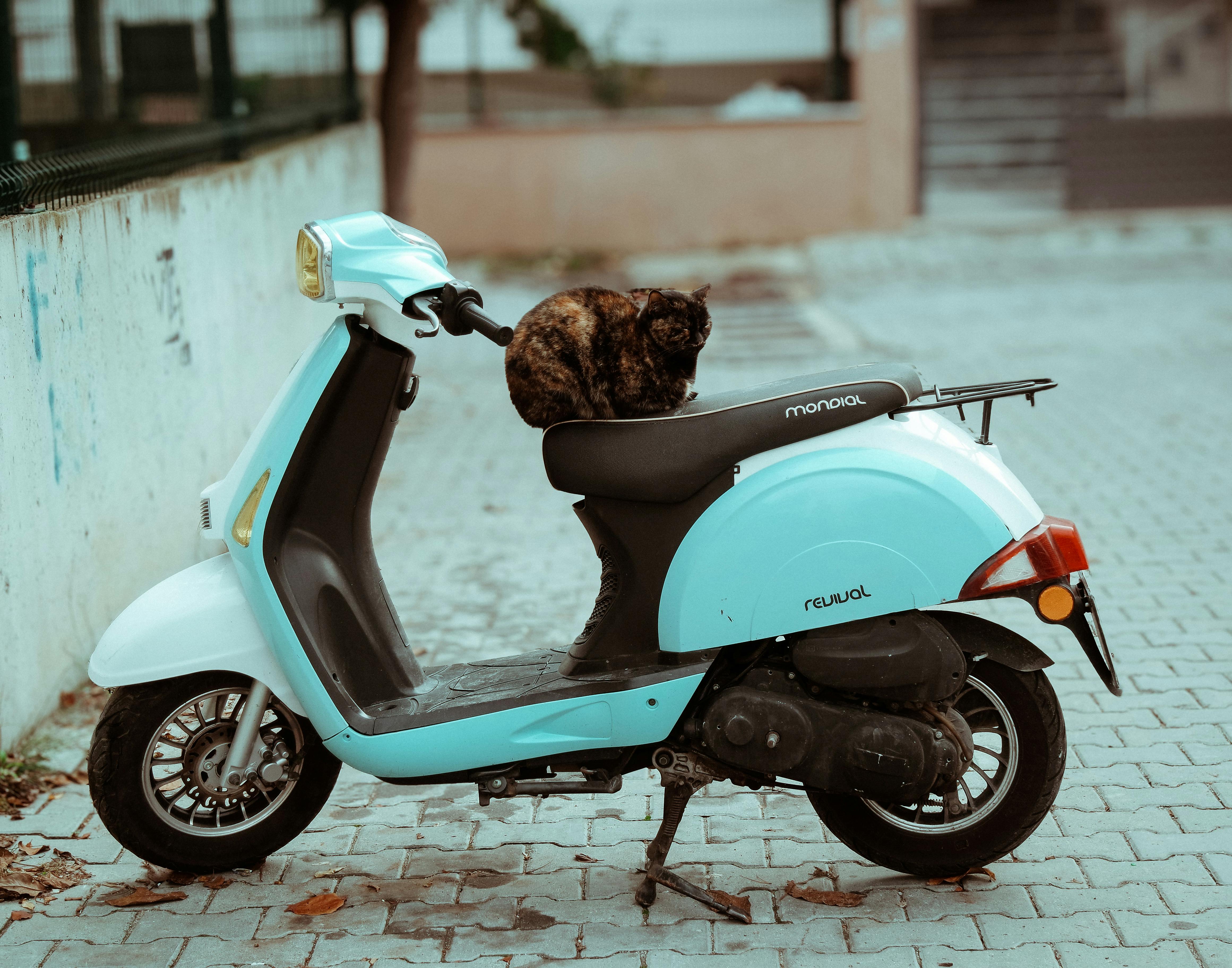 ContiScoot: over 30 Tire Sizes for Urban Mobility and Everyday Commuting — Photo by İlhan ÇAÇA on Pexels