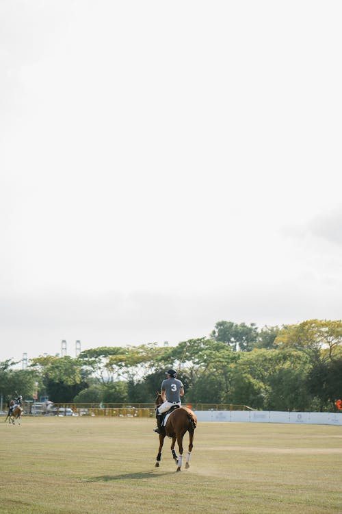 Free Man Riding Horse Stock Photo