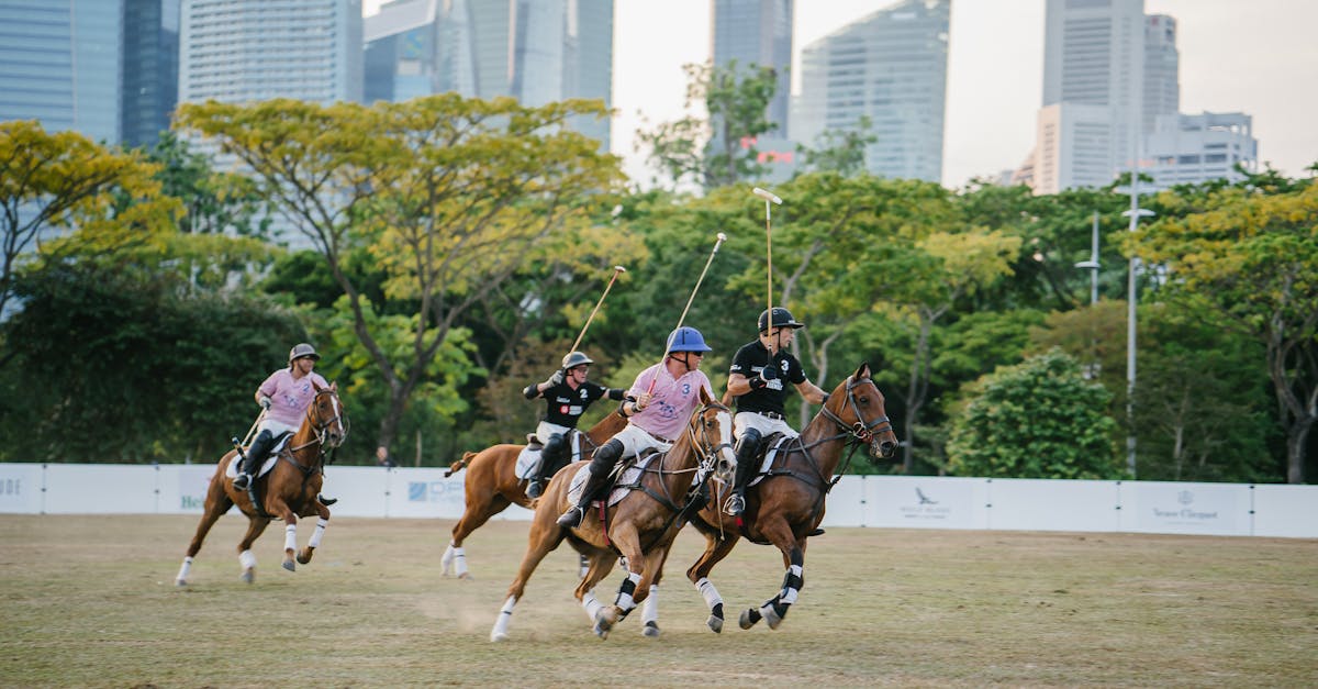 How fast is the average horse's canter