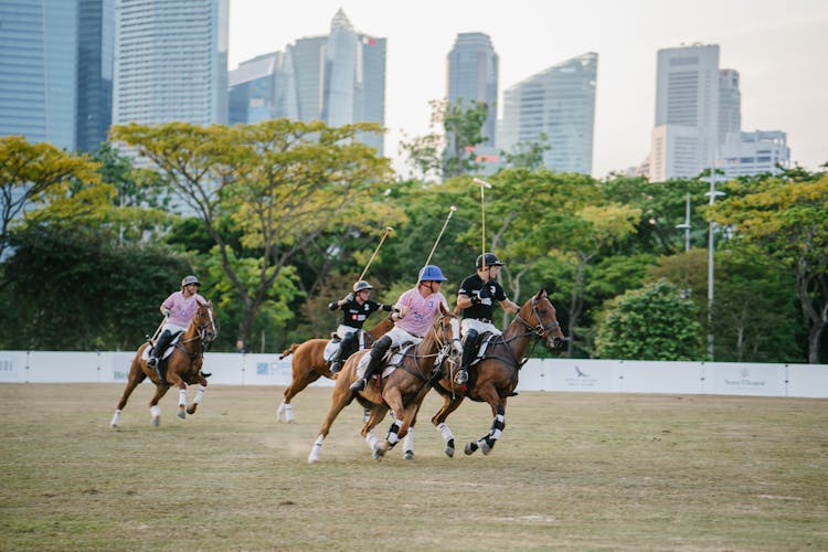 Group Of Men Riding Horses About To Play Polo Sport