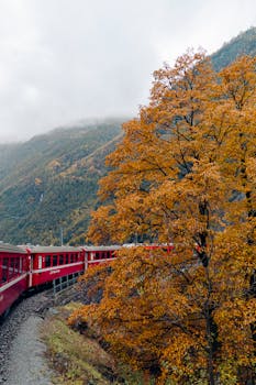 A red train travels through an autumn valley surrounded by colorful trees and misty hills.