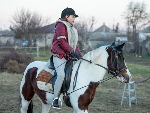 Δωρεάν στοκ φωτογραφιών με άλογο, αναβάτης, για άλογα