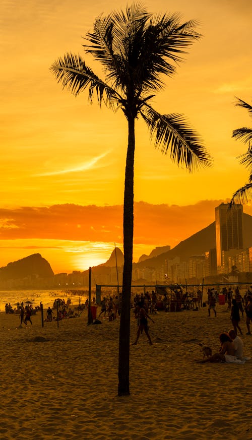 Immagine gratuita di leme, rio de janeiro, tramonto sulla spiaggia