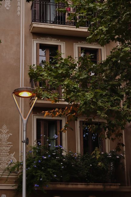 Quaint townhouse facade in Barcelona with lush greenery and streetlamp glow.