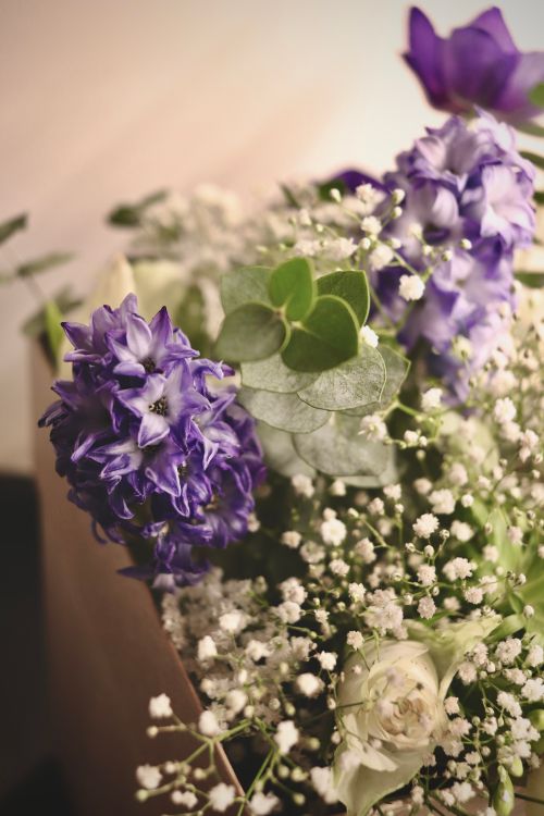 Free A delicate arrangement of lavender flowers and baby's breath in a rustic setting. Stock Photo