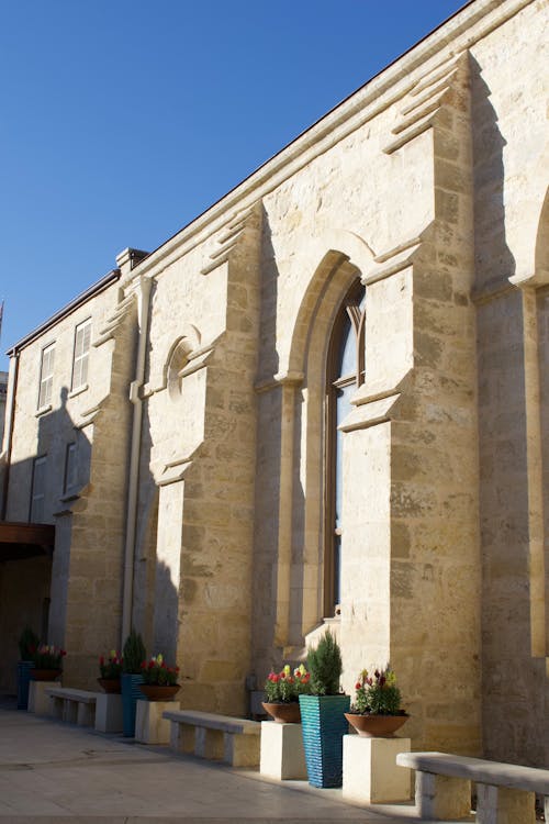 San Fernando Cathedral in San Antonio 