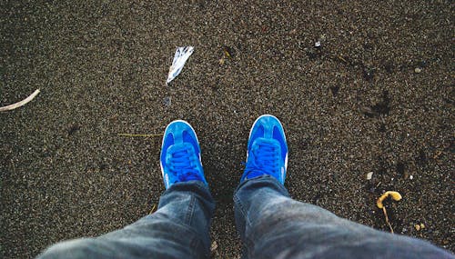 Person Wearing Pair of Blue Sneakers