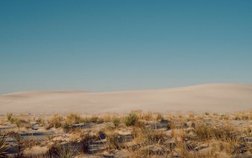 Foto stok gratis gurun pasir, indah, kertas dinding