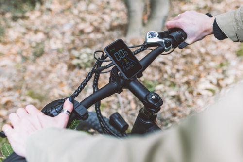 Free A person riding a bicycle on a leafy forest trail during autumn, showcasing the handlebar and speedometer. Stock Photo