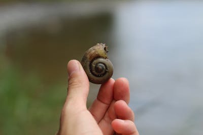 生日朋友圈文案文艺范 生日文艺朋友圈精简