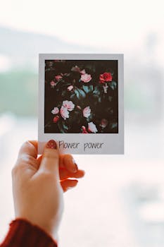 一只手握着宝丽来照片，上面是一朵充满活力的玫瑰和“花的力量”的文字