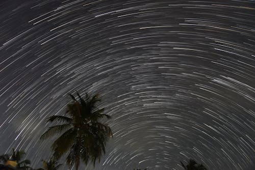 Imagine de stoc gratuită din astronomie, celebrități, cer de noapte