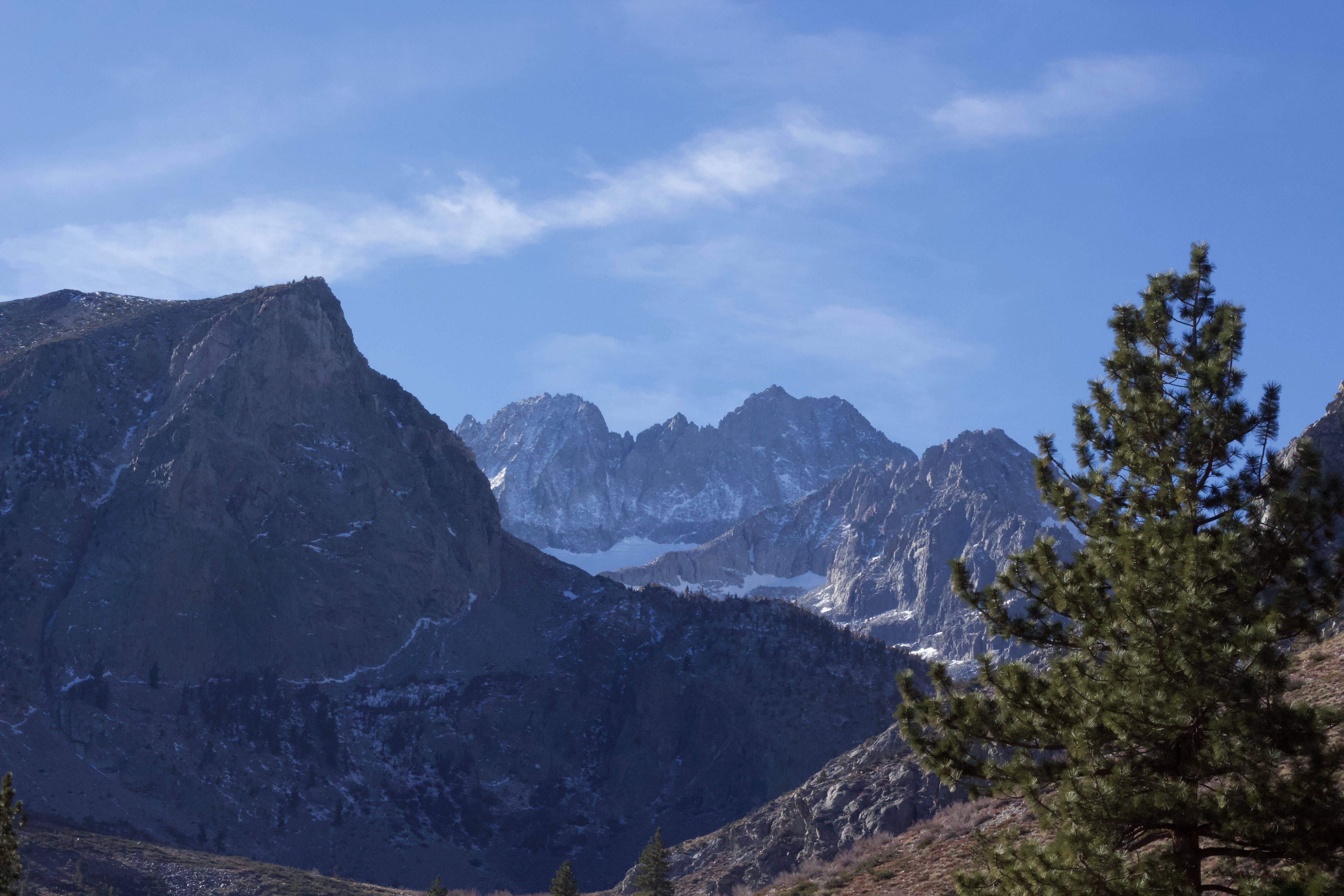 Breathtaking view of rugged mountains and pine trees in California, USA.