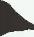 Torn Shape in Black and White