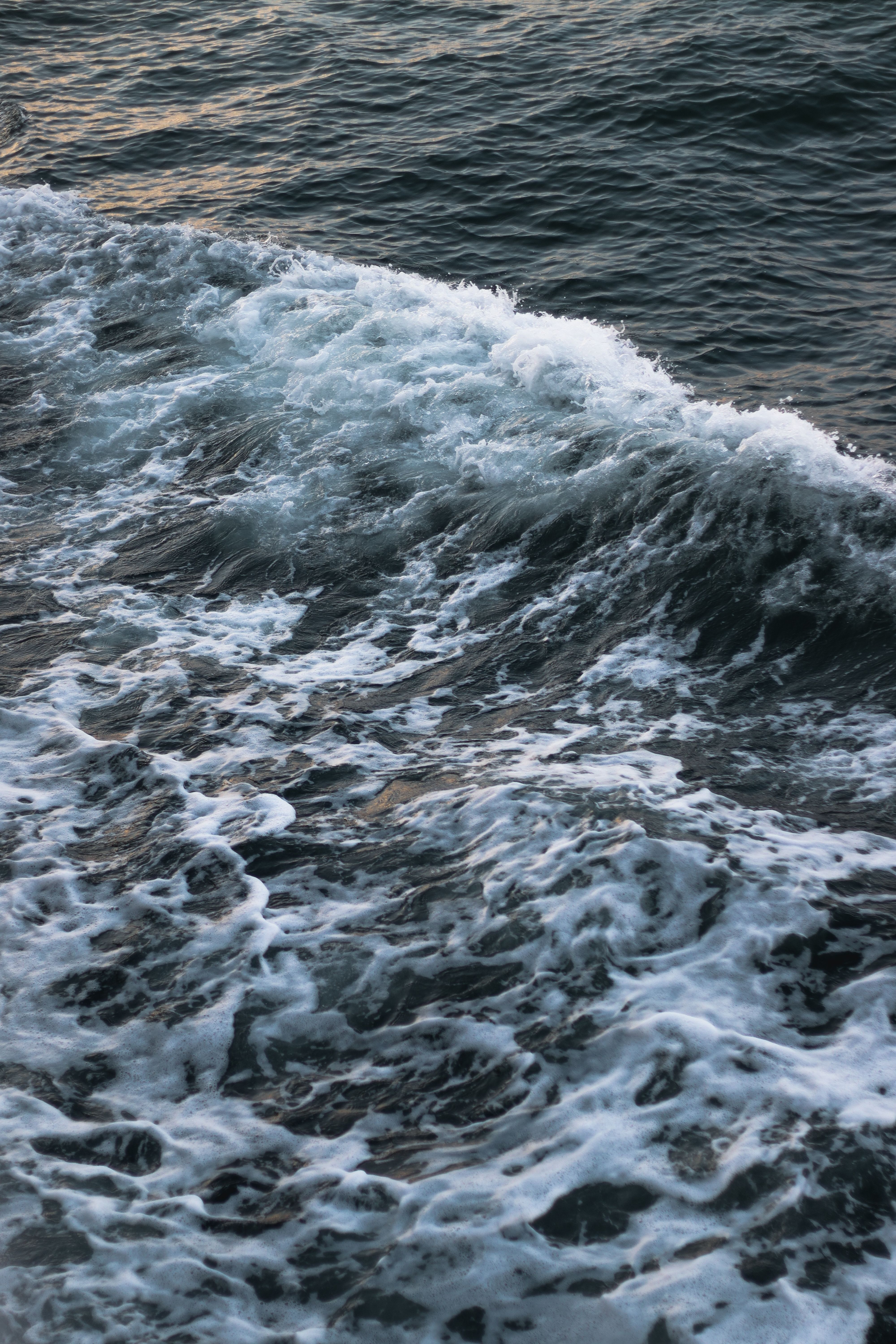 Foam on the Moving Tides of the Sea · Free Stock Photo