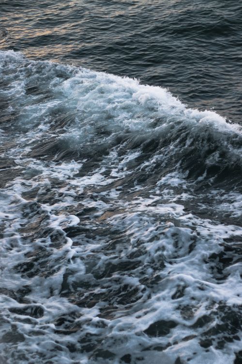 Free Close-up of a powerful ocean wave in motion, showcasing natural water dynamics. Stock Photo