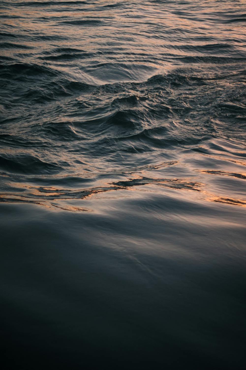 Tide Ripples in the Sea Water · Free Stock Photo