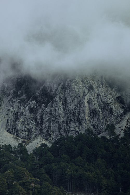 Rocky Mountains Covered with Fog 