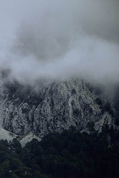 Rocky Mountains Covered with Fog 