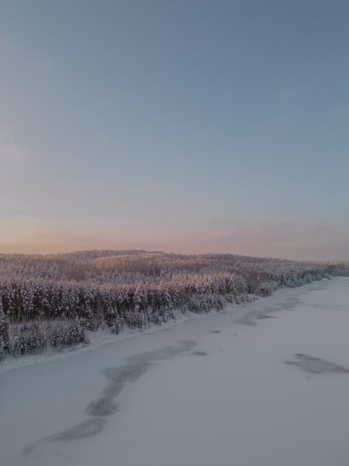 Free Serene winter landscape with a snow-covered forest at sunset in Ogre, Latvia. Stock Photo