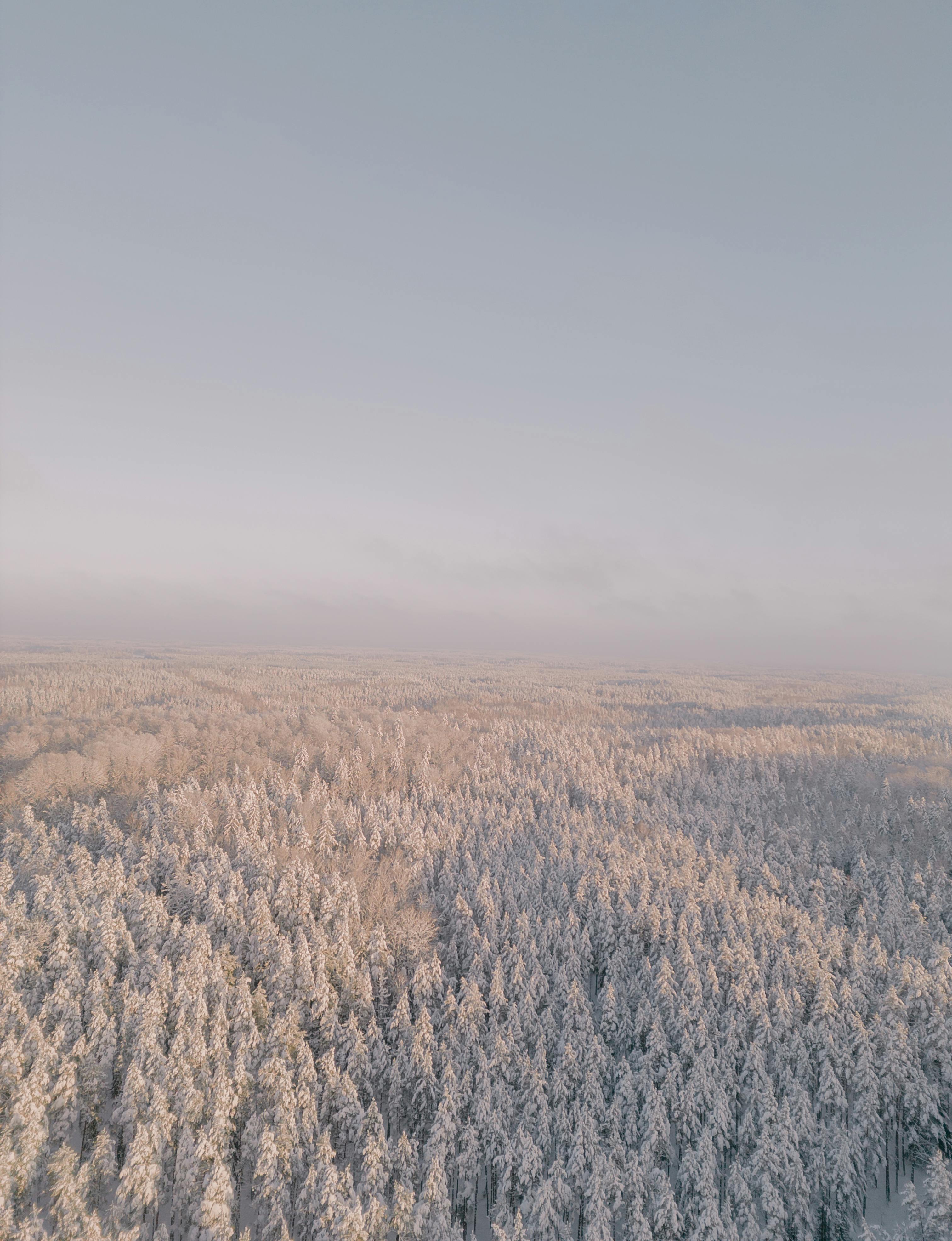 Bird's Eye View Photos, Download The BEST Free Bird's Eye View Stock