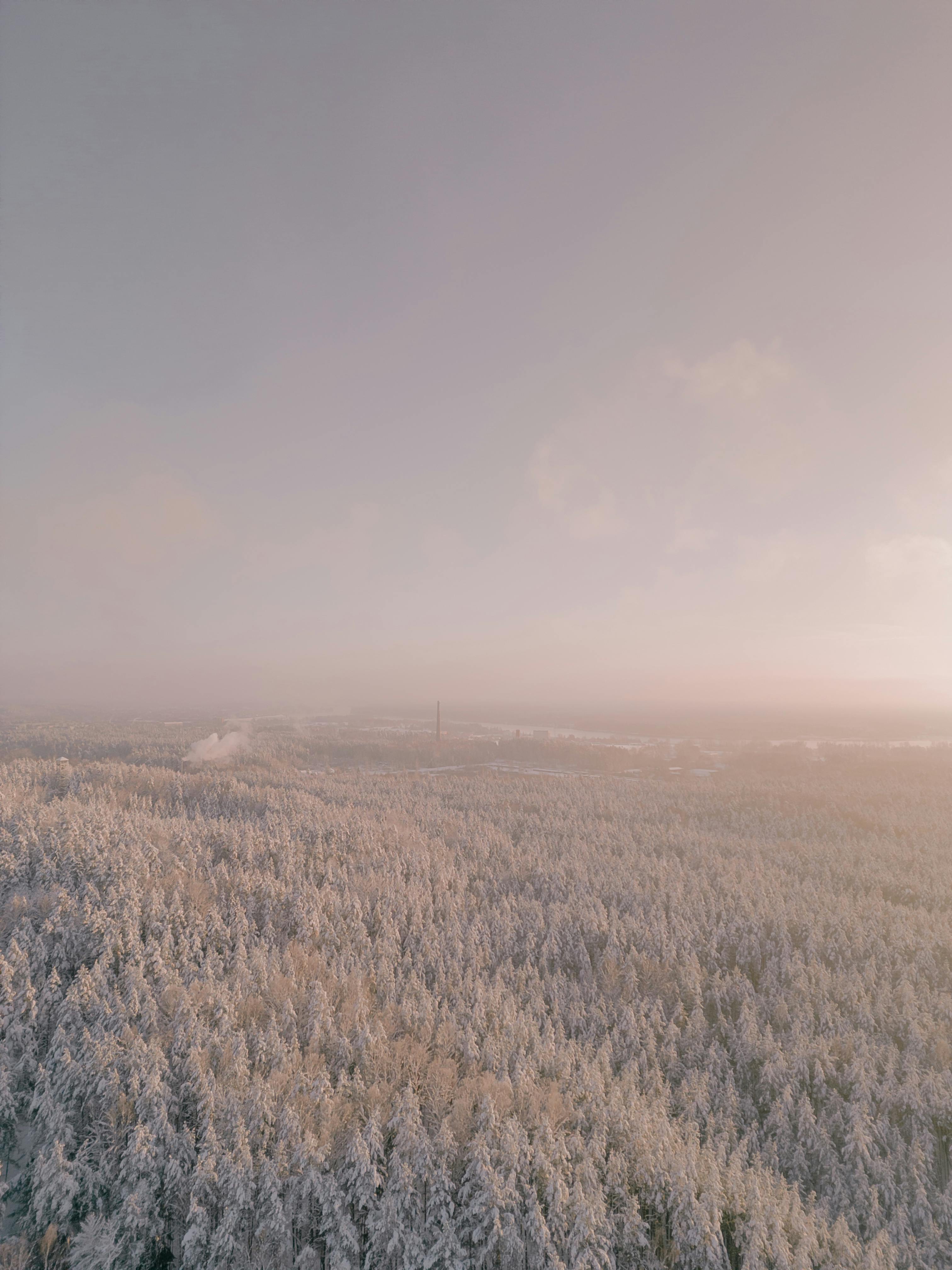 A mesmerizing aerial view of a snow-covered coniferous forest near Ogre, Latvia, under a serene winter sky.