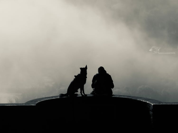 Man And Dog Sitting On Wall With View On Foggy Landscape