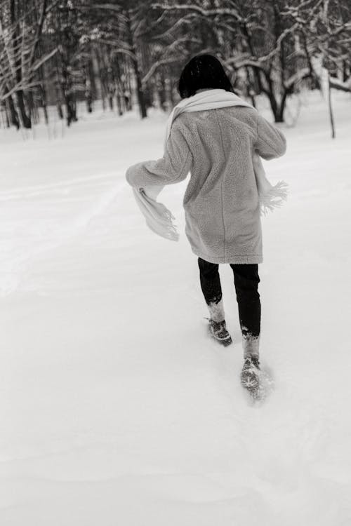 Základová fotografie zdarma na téma cesta, chůze, led