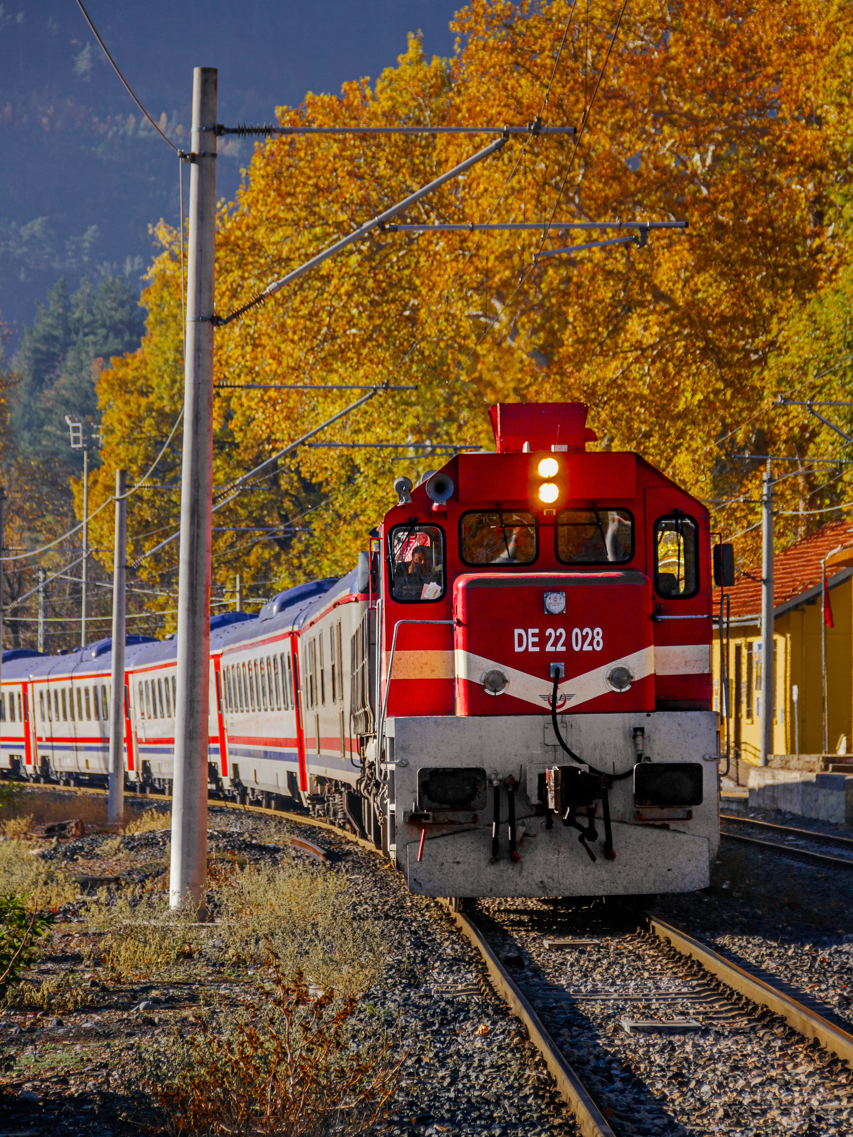 Red train with passengers moving through a scenic autumn forest with vibrant trees.