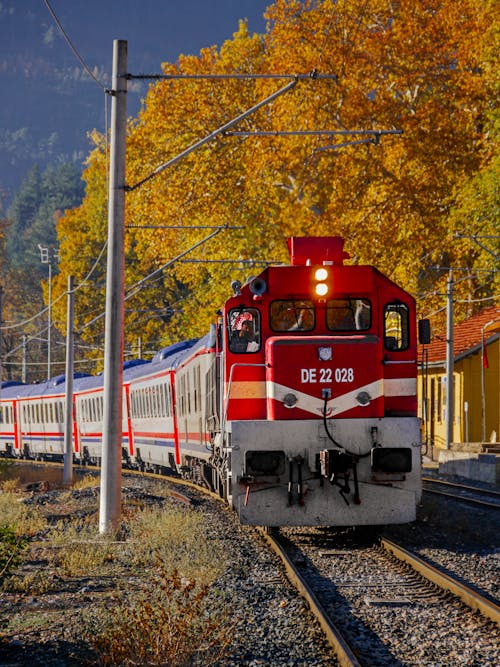 Red Train Running in Autumn