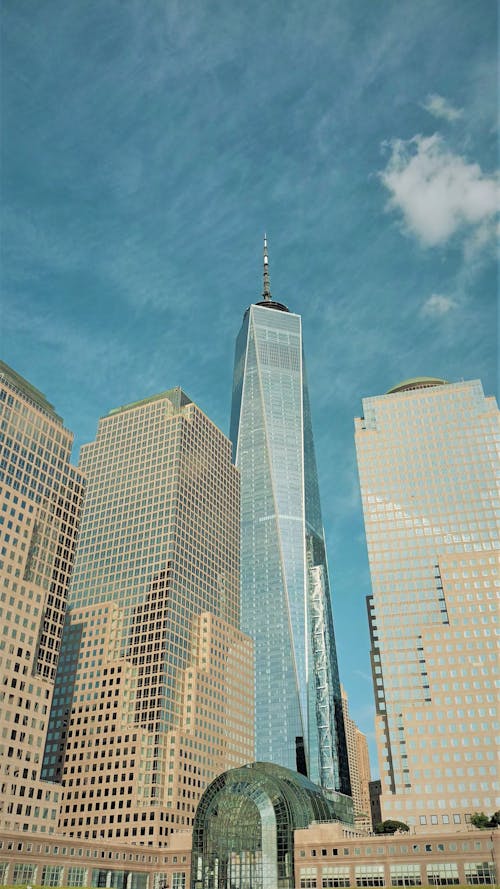 One World Trade Center over Skyscrapers in New York