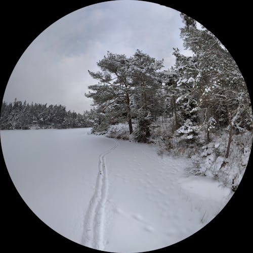 Tracks in the snow on the frozen lake