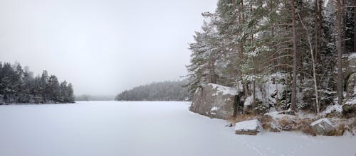 Panorama of frozen Forrest Lake Risveden