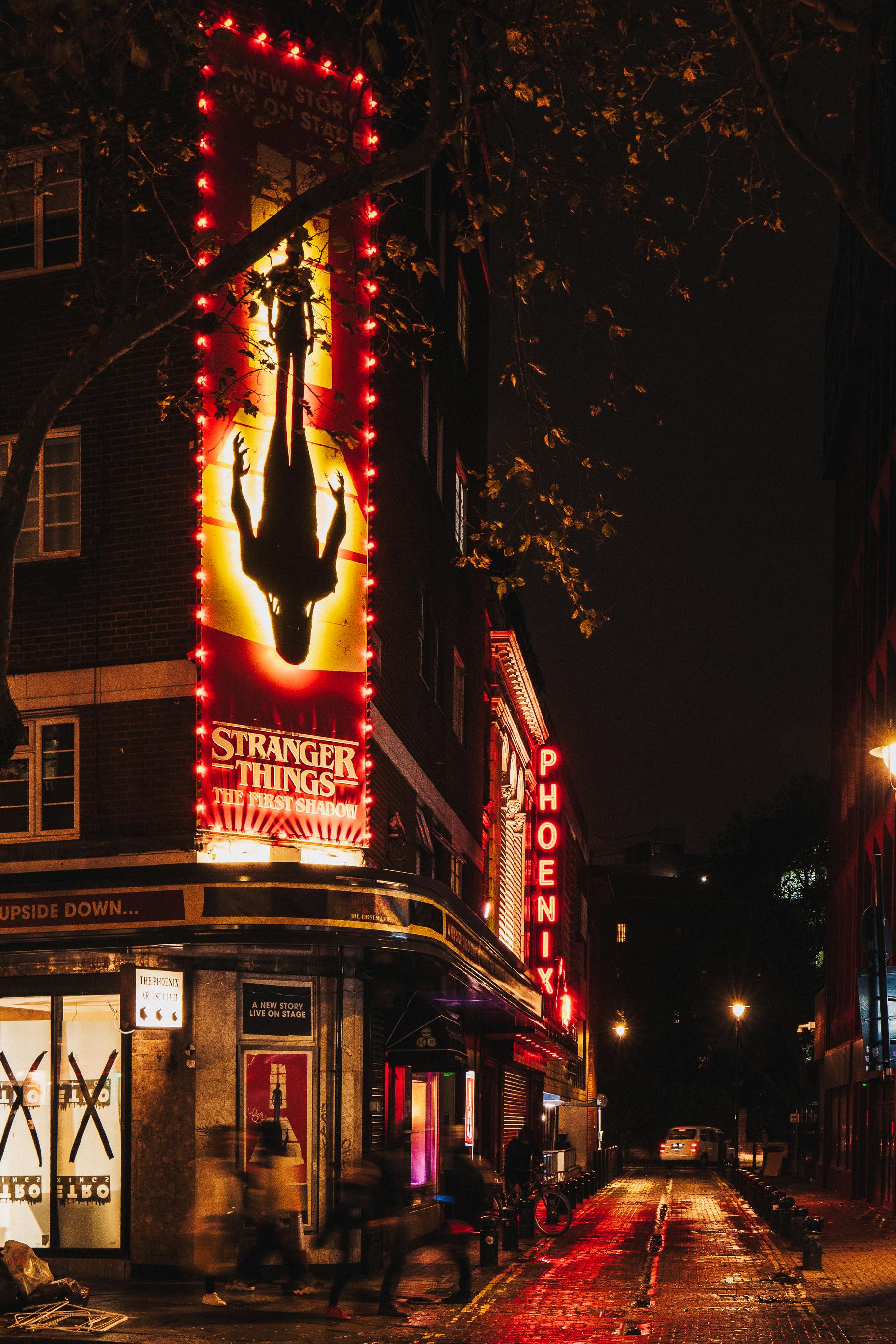Ücretsiz açık hava, akşam, anka kuşu içeren Ücretsiz stok fotoğraf Stok Fotoğraflar
