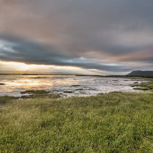 Kostnadsfri bild av lantlig, mulen, natur