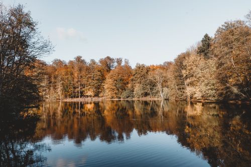 Free Beautiful autumn scene with trees reflecting in a calm lake, perfect for nature lovers. Stock Photo