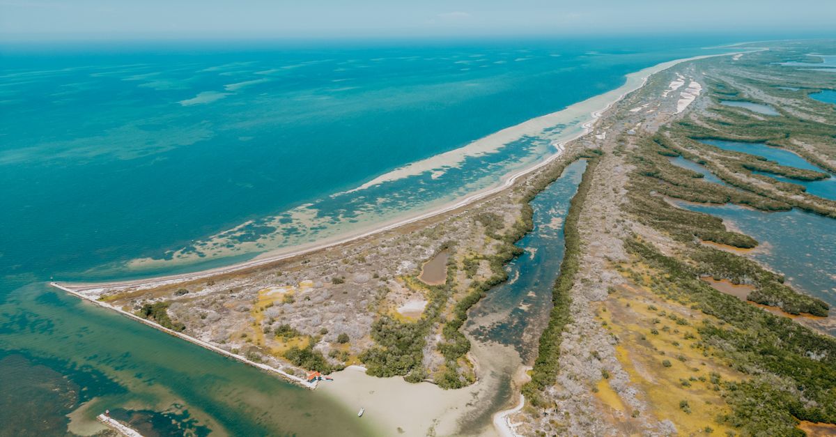 Stunning aerial shot of the Yucatan coastline featuring beaches and lush landscapes in Mexico.
