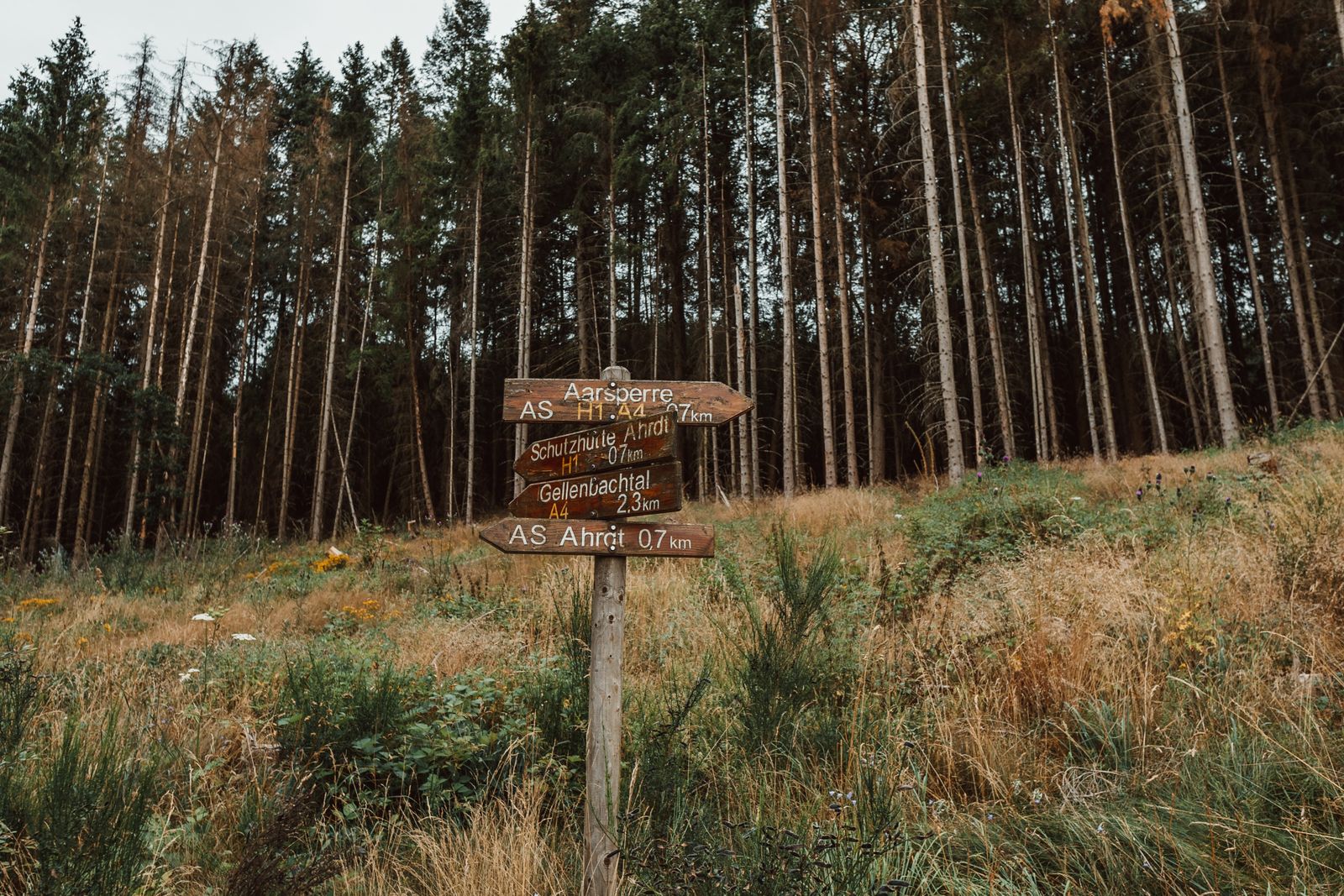 When Should You Replace a Policy With the Why?