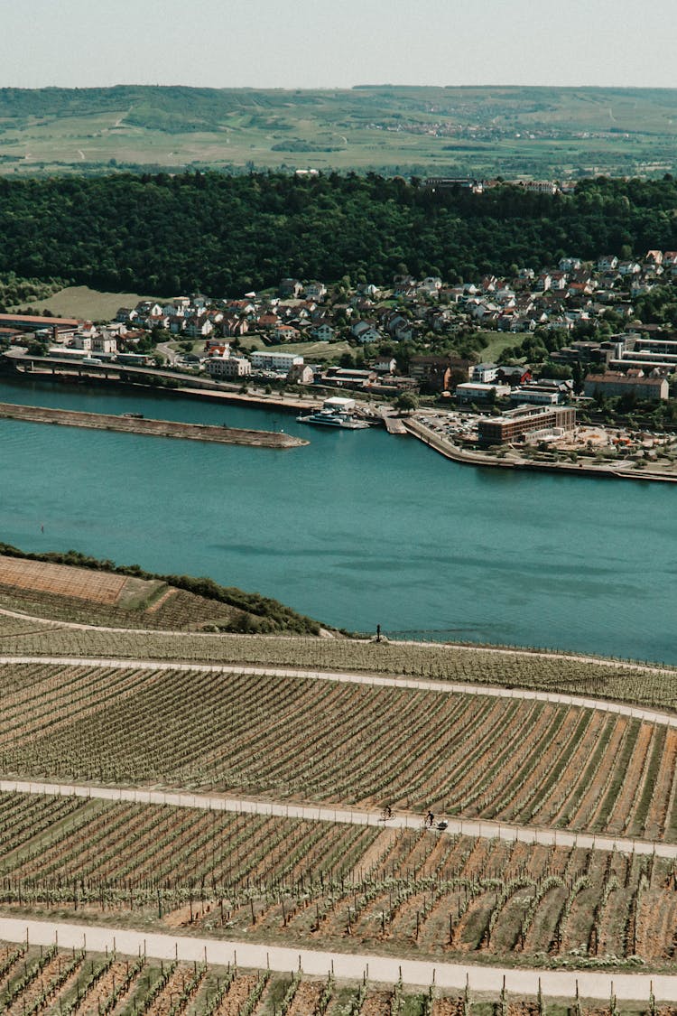 Aerial View Of Bingen Harbor On The Rhine River