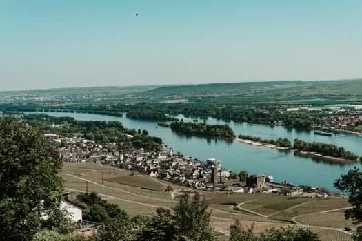 Aerial view of vineyards and river flowing through Rüdesheim am Rhein town during summer.