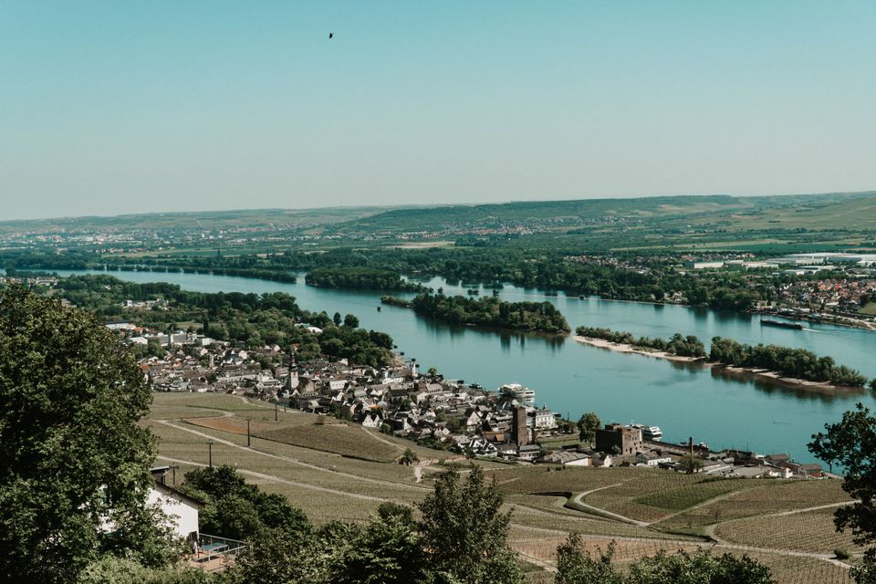 in Ludwigshafen am Rhein