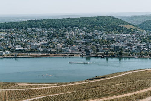 View of a City and Vineyards on the Rhine River in Germany 