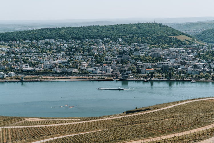 View Of A City And Vineyards On The Rhine River In Germany 