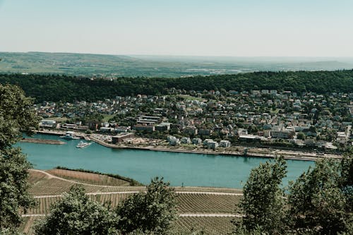 Бесплатное стоковое фото с rhein, германия, деревья