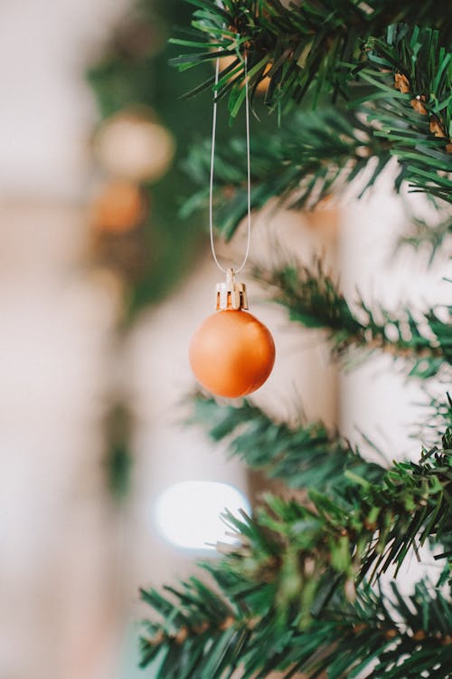 Bauble Hanging on Christmas Tree