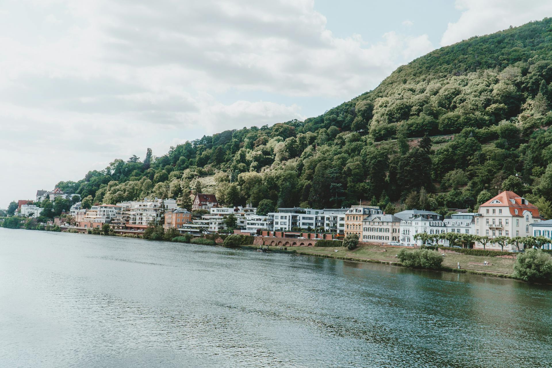 Buildings along the Bank of Rhine River