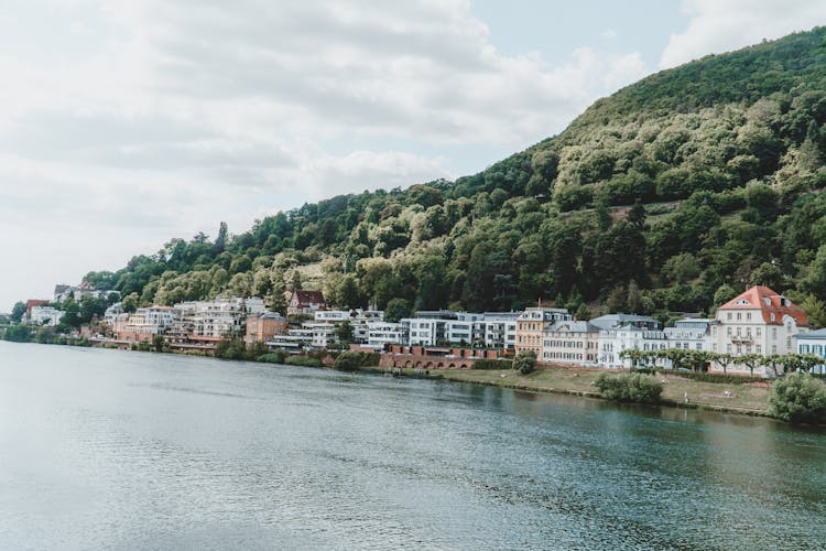 Buildings Along The Bank Of Rhine River