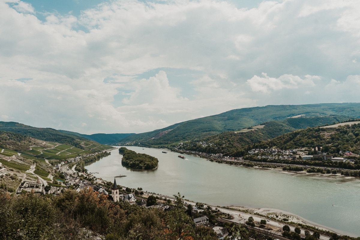 A river winding past a wooded island between vineyard hills